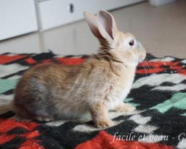 Erste Erkundung des Kinderzimmers