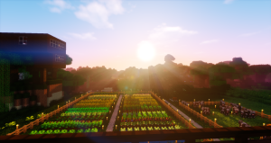 Minecraft – Life in the Woods (After Humans) – LitW
