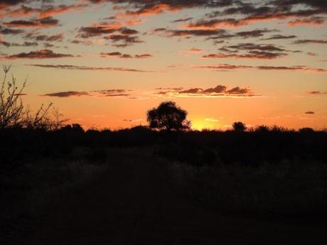 Kalahari-Waking-Trail-27