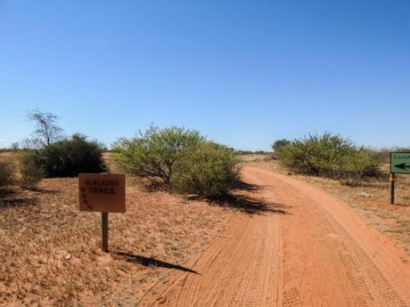 Kalahari-Waking-Trail-03