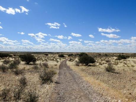Kalahari-Waking-Trail-08