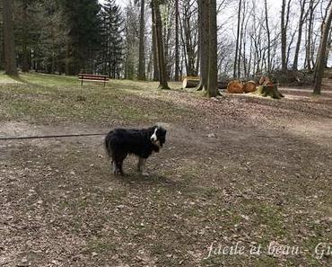Hundshaupten Teil 3