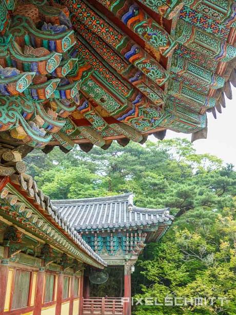 Von Busan nach Bulguksa – Südkoreas sieben Nationalschätze