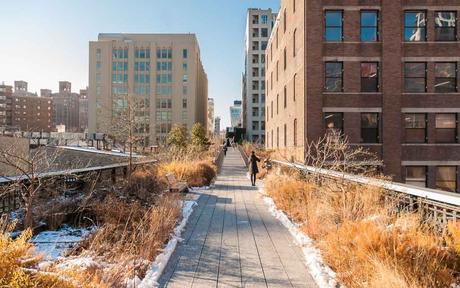 Der New Yorker High Line Park im Winter - Kuriose Feiertage - National Public Gardens Day USA - 2017 Sven Giese