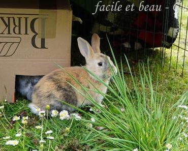 Erster Gartenaufenthalt