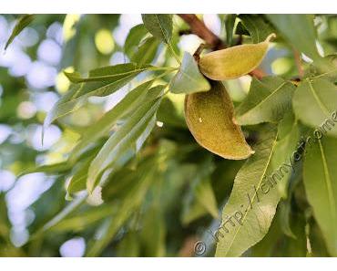 Cinny auf Zypern 2017 - Teil 2 #Reisen #Urlaub #Cyprus