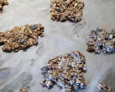 Ganz schnelle Müsli Kekse
