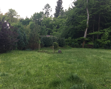 Mein Garten sucht ein Trampolin