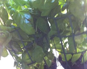 Unbekannt und doch ganz nah dabei