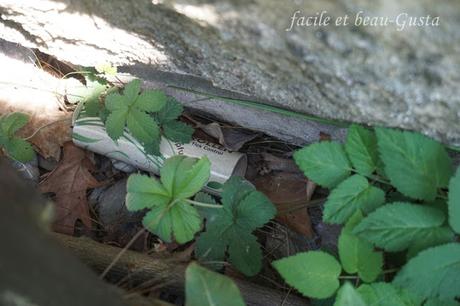 Zecken - ach du Schreck!
