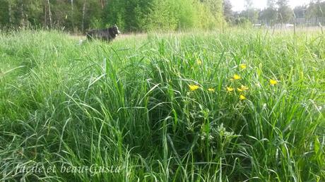 Zecken - ach du Schreck!