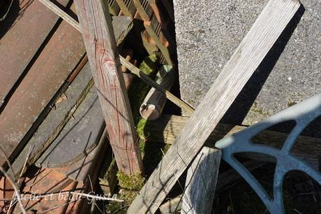 Zecken - ach du Schreck!