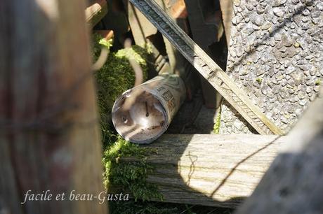Zecken - ach du Schreck!