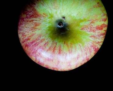 Inspirierende Individualisten: Marion Selzer im Gespräch zur Zuckersucht