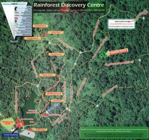 Sepilok: Borneos faszinierende Dschungelkinder ganz nah erleben