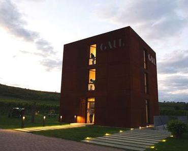 Wachtel, Miso und ein Gaul Riesling