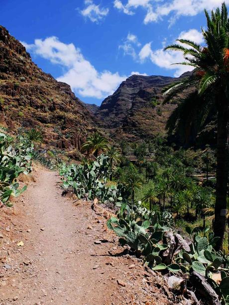 La Gomera – Die Wanderinsel