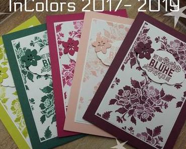 Neue InColors 2017-2019