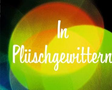 Wolfgang Herrndorf: In Plüschgewittern