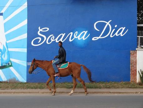 Reiten in Madagaskar - braunes Pferd vor blauer Reklametafel mit madagassischem Reiter