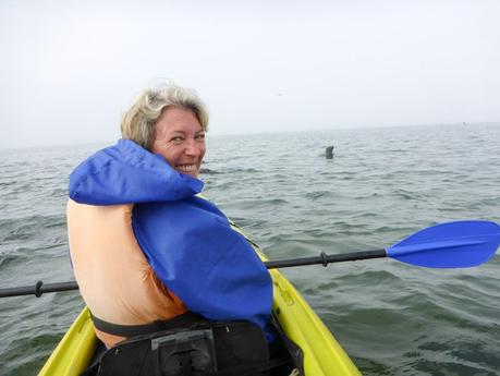 walvis-bay-robben-kayak-09
