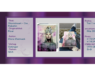 Rezension: Stormheart - Die Rebellin
