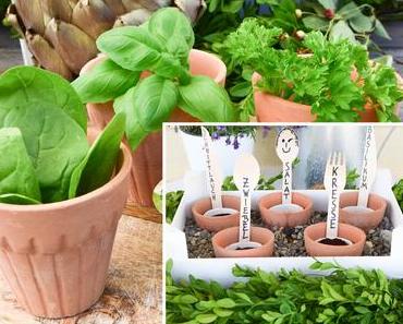 So pflanzt ihr euren eigenen kleinen Bio-Garten auf dem Balkon: Sommerzeit ist Balkonzeit