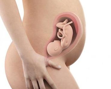 29. SSW (Schwangerschaftswoche): Dein Baby, dein Körper, Beschwerden und mehr