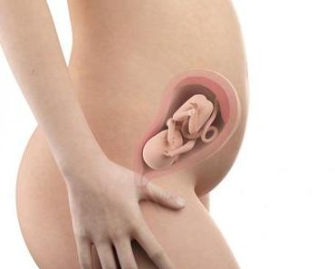 25. SSW (Schwangerschaftswoche): Dein Baby, dein Körper, Beschwerden und mehr