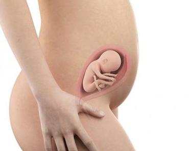 24. SSW (Schwangerschaftswoche): Dein Baby, dein Körper, Beschwerden und mehr
