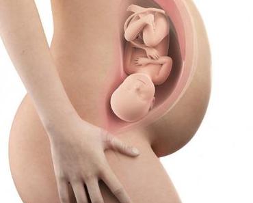 40. SSW (Schwangerschaftswoche): Dein Baby, dein Körper, Beschwerden und mehr