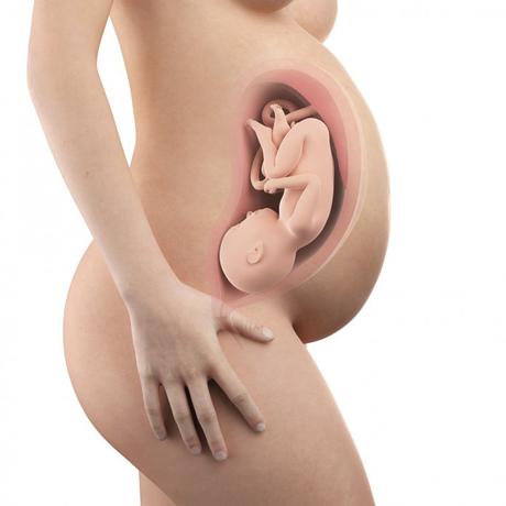 39. SSW (Schwangerschaftswoche): Dein Baby, dein Körper, Beschwerden und mehr