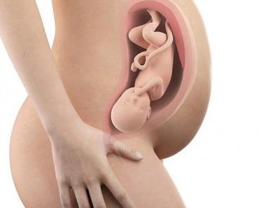 35. SSW (Schwangerschaftswoche): Dein Baby, dein Körper, Beschwerden und mehr