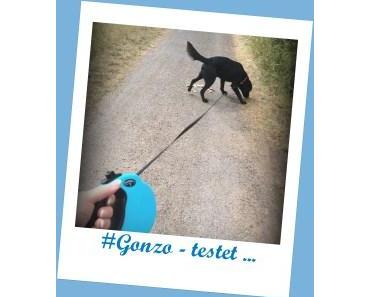 Gonzo testet … Chewy Express – Flexileine