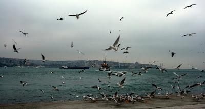Ich höre Istanbul zu /Orhan Veli