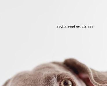 Der Esel wird sechs!