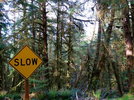 USA Roadtrip: Route Seattle – Yellowstone – L.A. (+ Highlights und Infos)