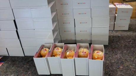 Einblicke in die DVD/Blu-ray Produktion