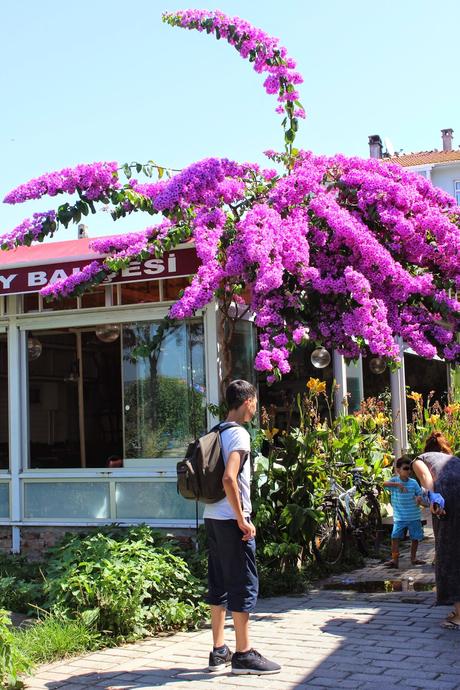 Büyükada / Prinzeninsel