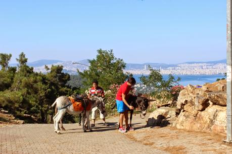Büyükada / Prinzeninsel