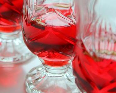 Lohusa Şerbeti / Wochenbett-Sirup-Getränk