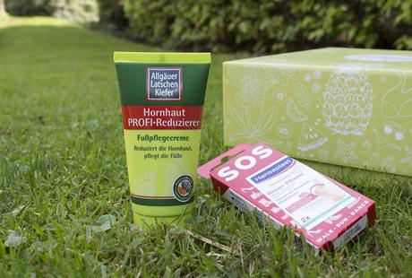 Sanicare Box // Sommerzeit Sanicare Box // Sommerzeit