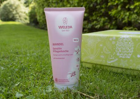 Sanicare Box // Sommerzeit Sanicare Box // Sommerzeit