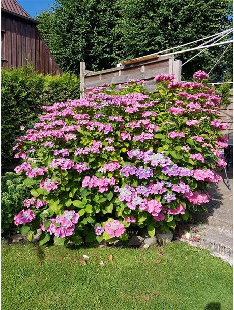 Maritim mit roter Hose