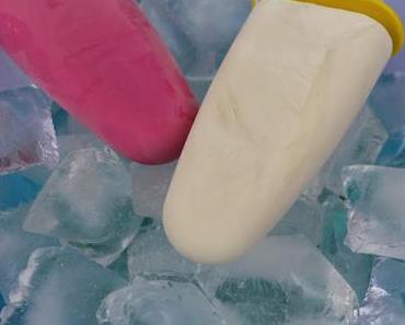 Quick and Easy Ice Cream with Coconut