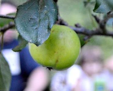 #Wochenende {Sonne satt}