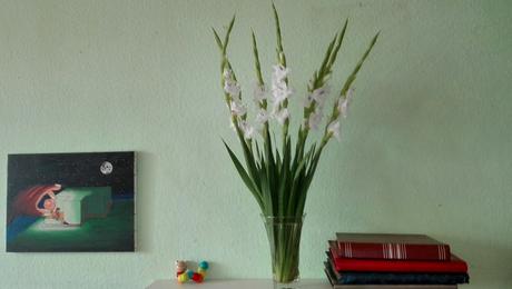 Foto: Stillleben mit weißen Gladiolen