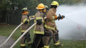 Unnützes Wissen, Absatz 12