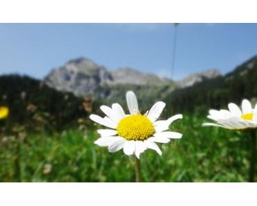 Kuchen und Monsun