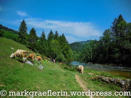 Heimatkunde: Eine Wanderung am Doubs entlang nach St. Ursanne mit AVANTI
